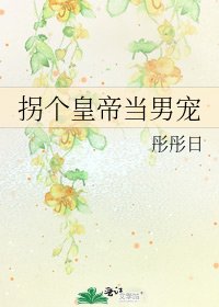 拐個皇帝當男寵