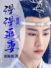 (陳情令同人)藍湛:漫漫追妻